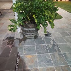 Planter With Plant