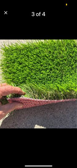 Liquidation Turf Sale-Riverside