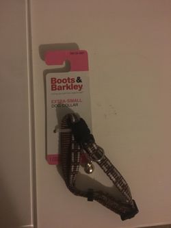 Boots & Barkley Extra-Small Dog Collar