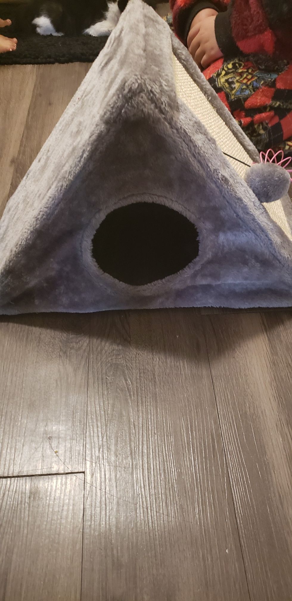 Cat bed