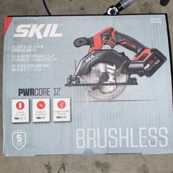 Skil Circular Saw 