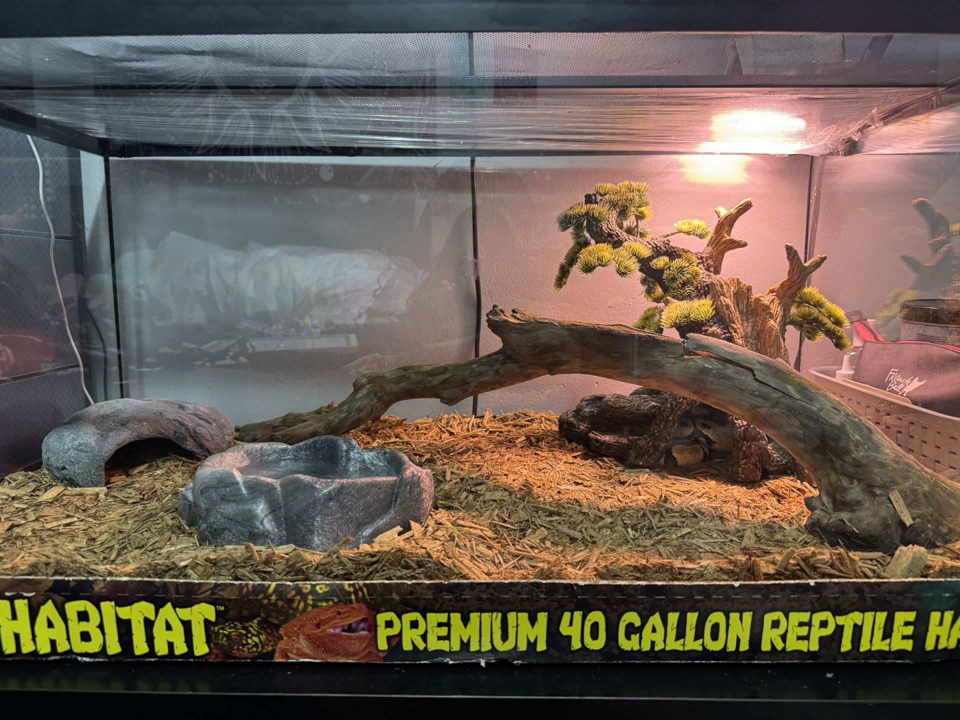 40 gallon reptile tank