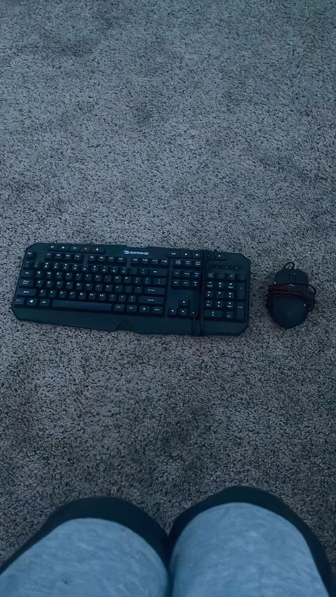 Skytech M-1000 Mouse + Ibuypower T1 Keyboard Bundle