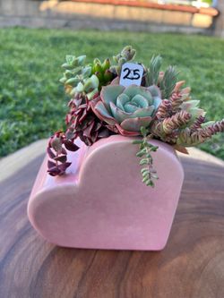 Mother’s Day Succulent arrangement