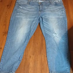 Size 26 Mid Rise Ankle Skinny Levi Jean