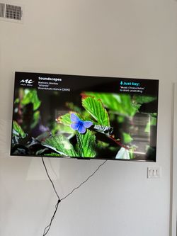 55 inch tv