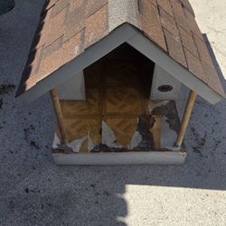 Dog House 
