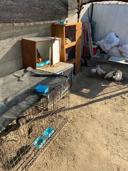 Chicken cages