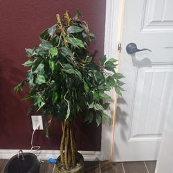Two Fake Plants 
