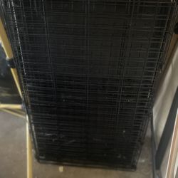 Nueva Jaula Mediana