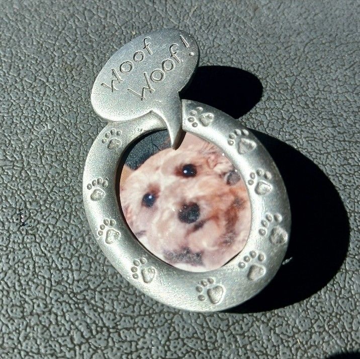 Vintage Brooch Holds Your Dog's Photo