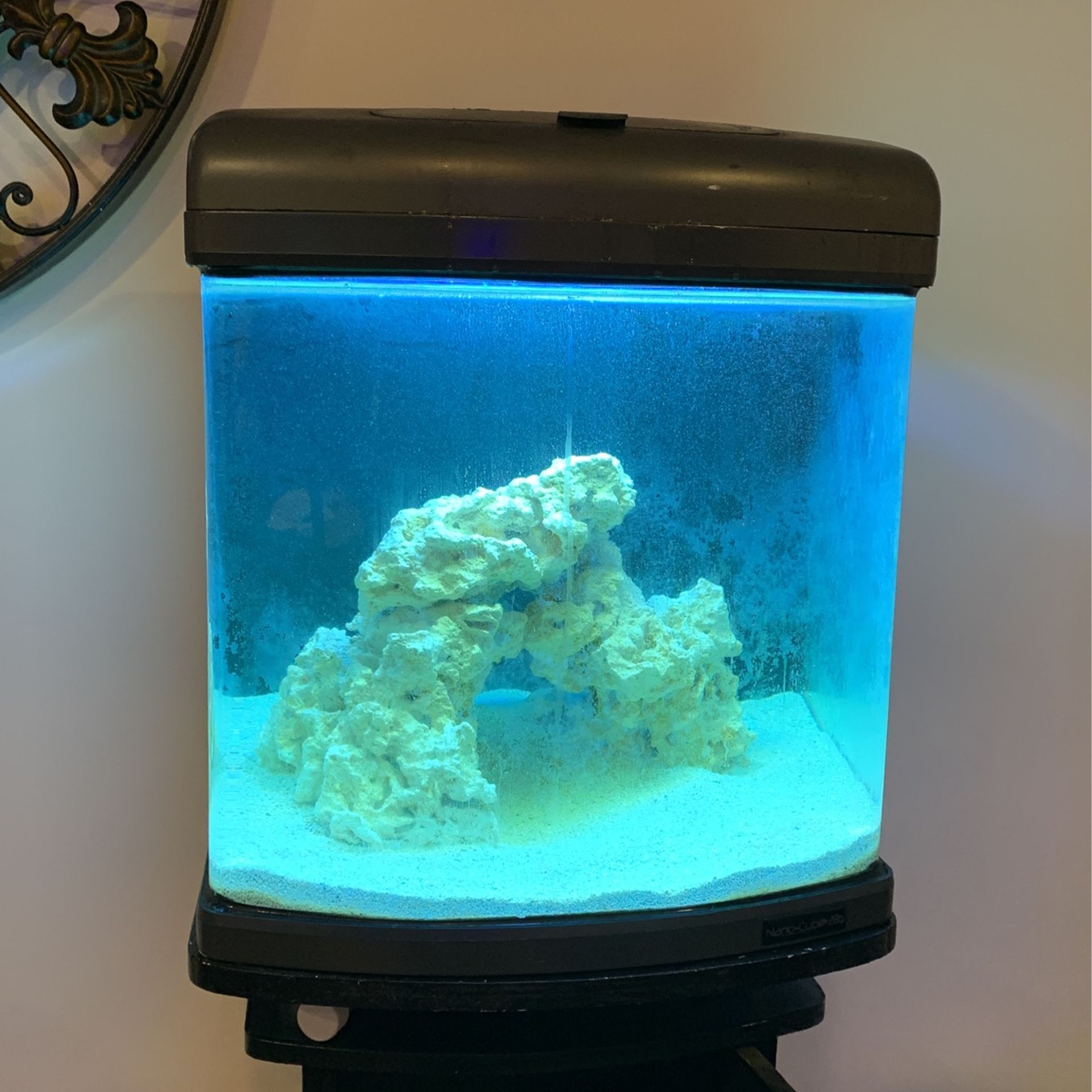 28 Cube Tank MUST GO