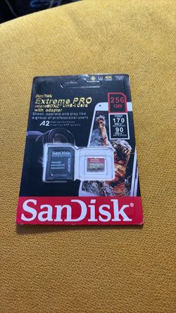 Sandisk 256gb SD card V30