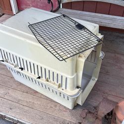 Pet Travel Carrier