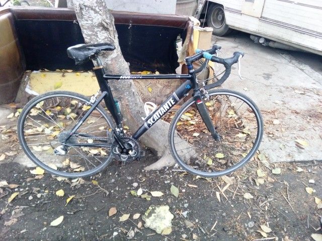 Scattante XL Road Bike
