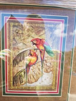 Various ltd edition framed prints parrots macaws tropical birds