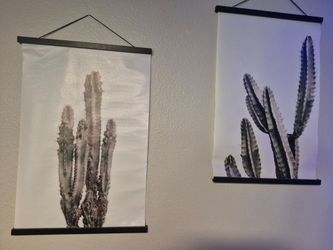 Cactus art