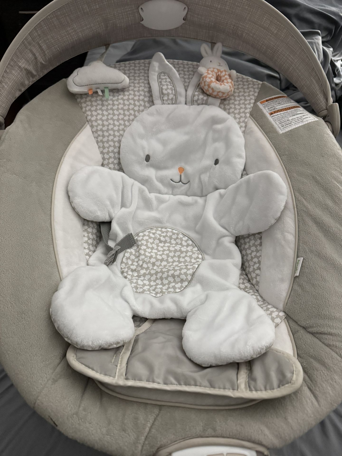 Ingenuity Baby Bouncer