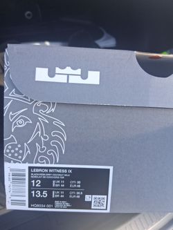 New LeBrons Size 12's