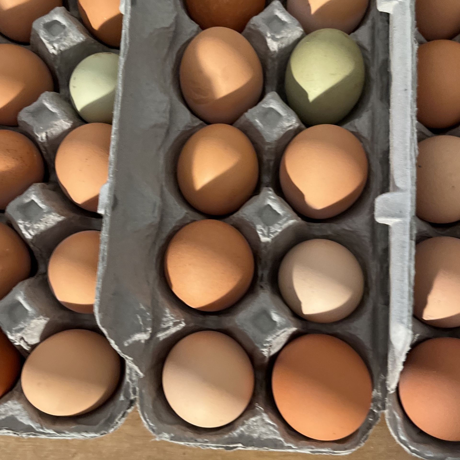 Chicken Eggs For Sale for Sale in Canyon Country, CA OfferUp