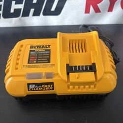 Dewalt 20v 8Amp Fast Charger