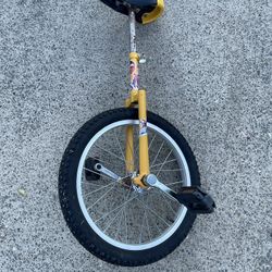 18 Inch Unicycle