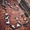 Watch_My_Shoes