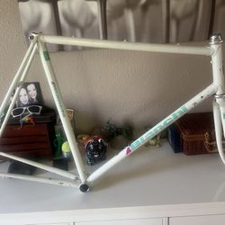 Vintage Bianchi Columbus Tubing Road Bike Frame