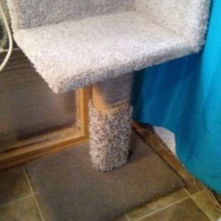 Cat Laying Bed Perch 