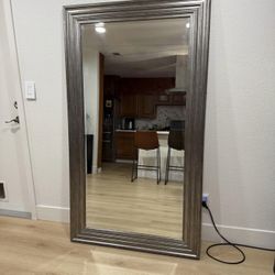 Large Modern Body Mirror / Home Goods