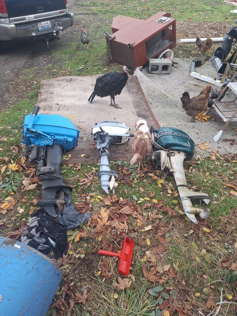 Boat Motors