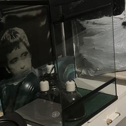 🦎 24” Glass Reptile Terrarium / Enclosure w/ Screen Lid + Light Fixtures