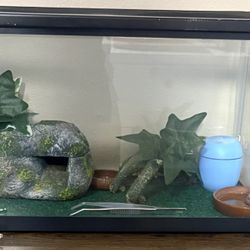 10 Gallon Reptile Tank