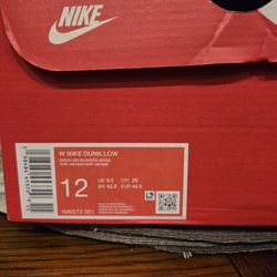 Brand New Nike Dunks
