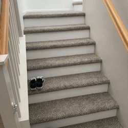 Carpet 