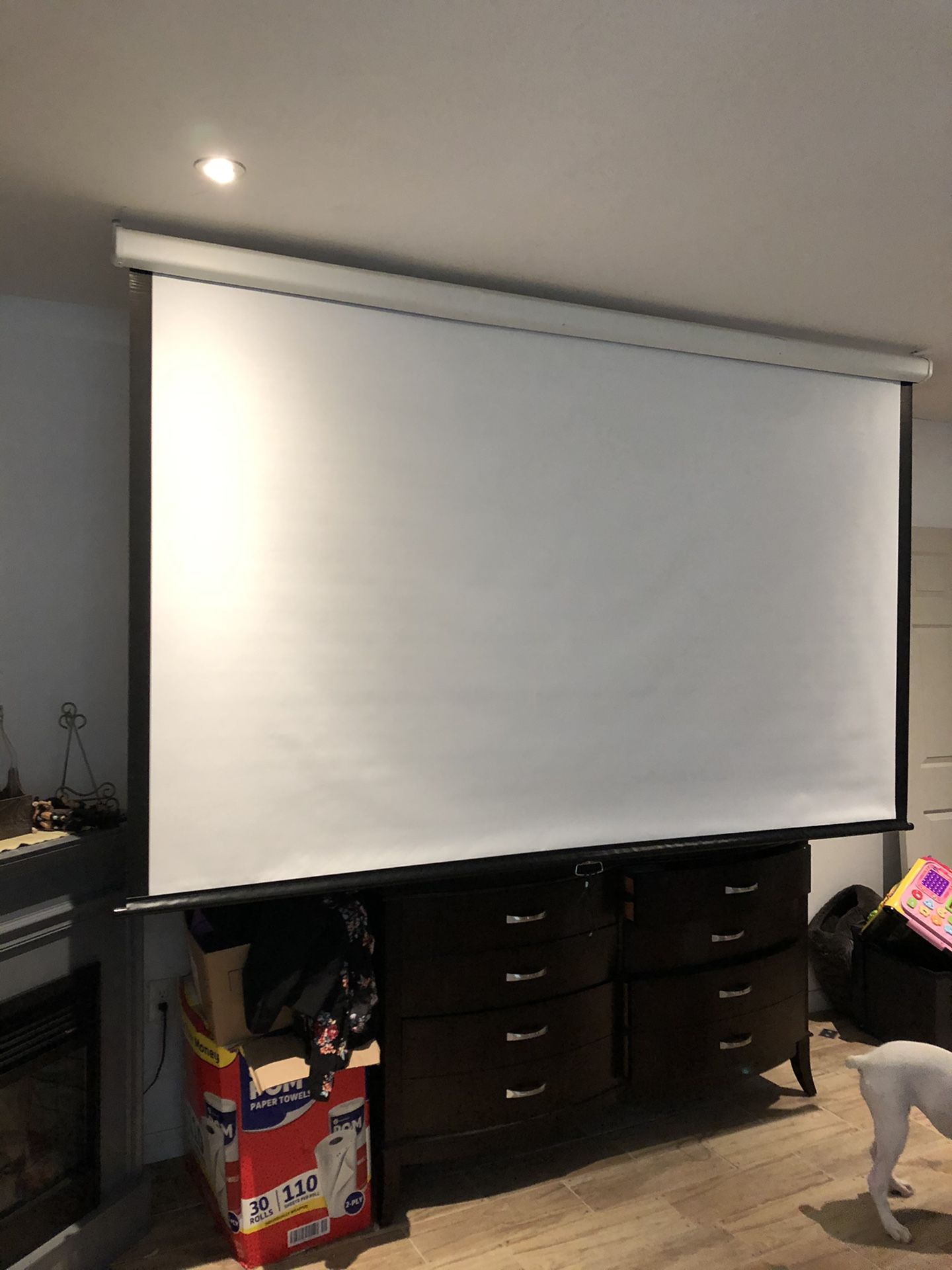 100" retractable projector screen