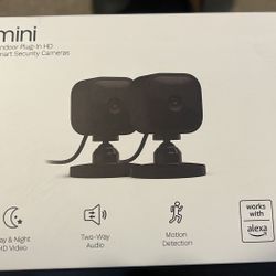 Blink Mini 