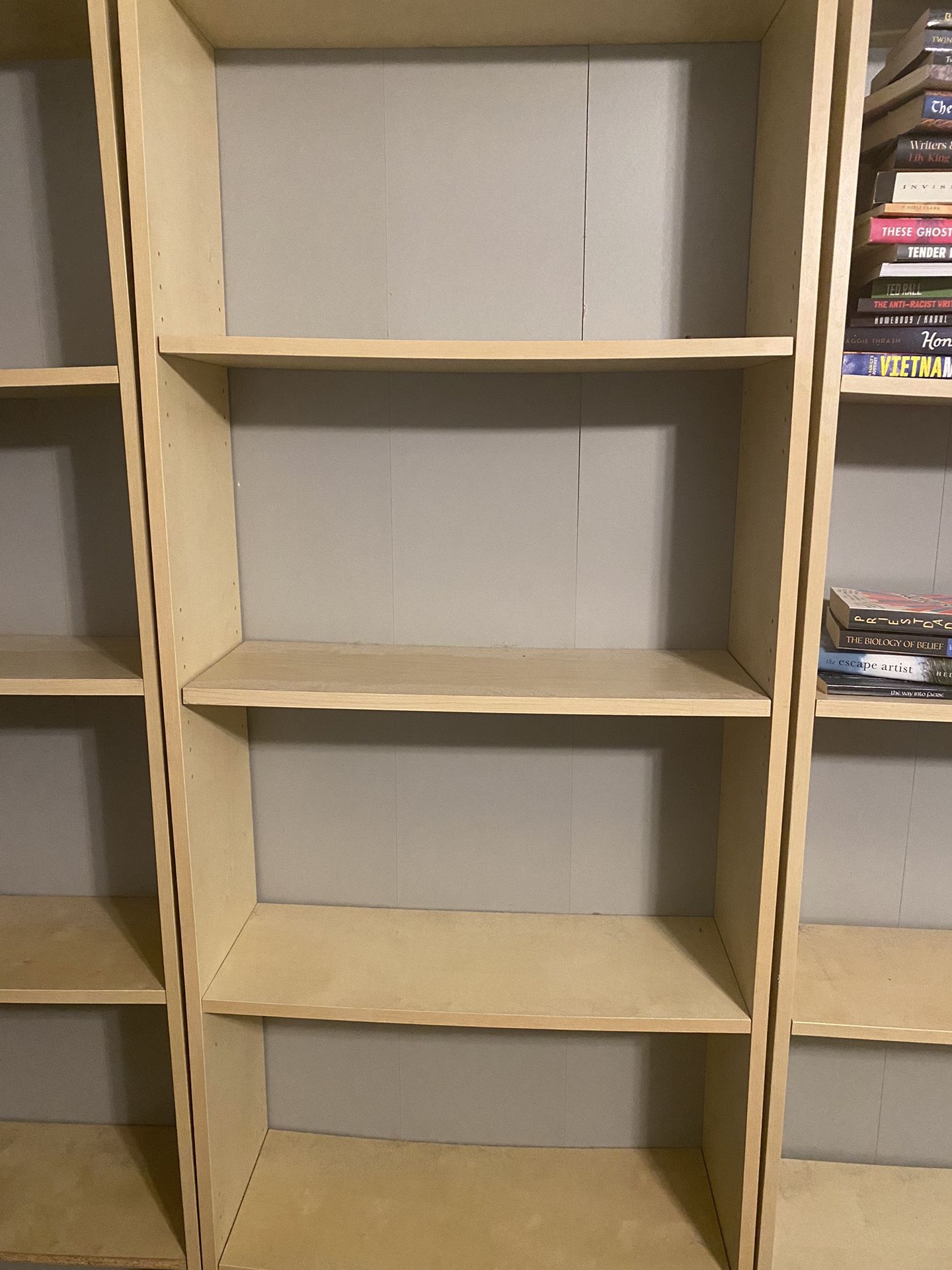 4 Tall Five Shelf Bookshelves IKEA Kirby