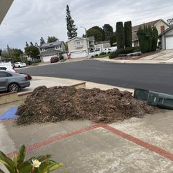 Free Mulch