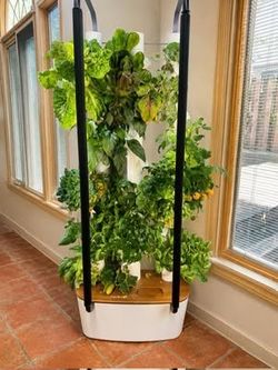 Gardyn Home Kit 3.0 Indoor Hydroponic Garden + 23 Unused yCubes + Nursery