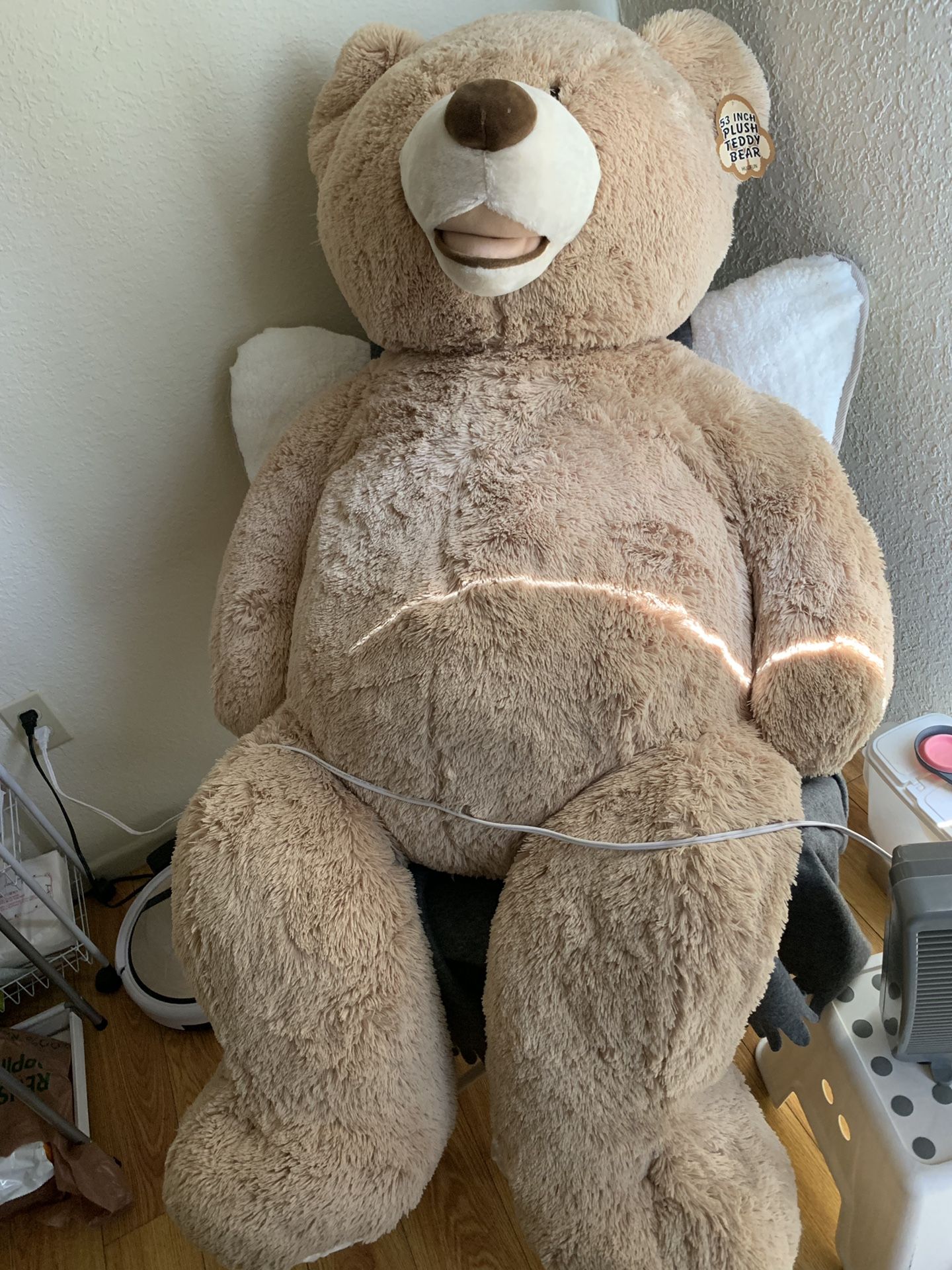 Free Costco Bear