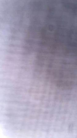 iPhone 15 plus locked