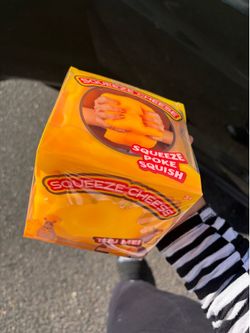 huge cheese squishy