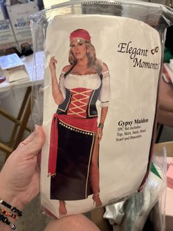 Gypsy Maiden Halloween Costume Plus Size