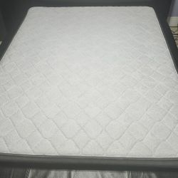 mattress queen used