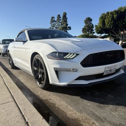 Mustang EcoBoost Premium Convertible
