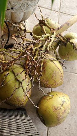 Coconut water