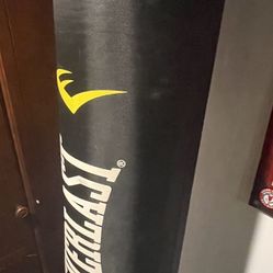 Everlast Punching Bag