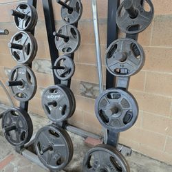 Olympic Weight Plates Exercise Equipment Rack Free Weight Gym