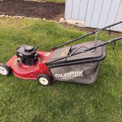 Briggs And Stratton Push Lawn Mower